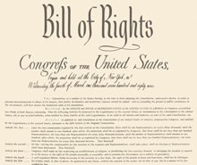 Билль о правах Конституции США защищает основные свободы граждан Соединённых Штатов.